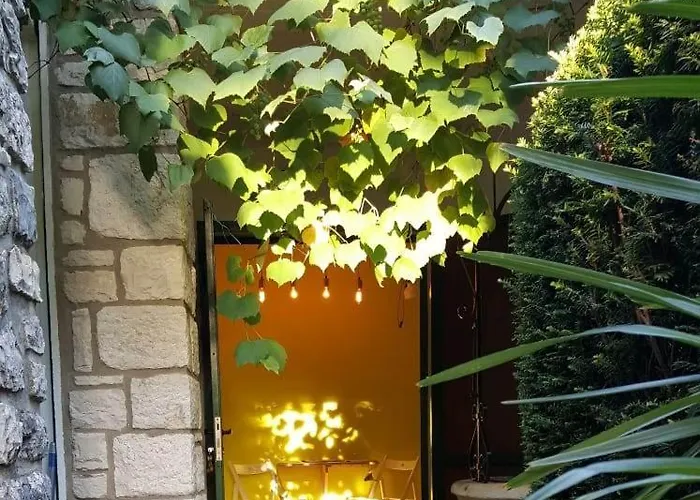 Csipak 4* Ρόβινι