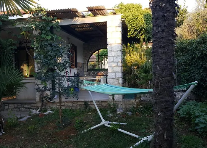 Csipak Ρόβινι