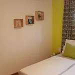 Csipak 4*